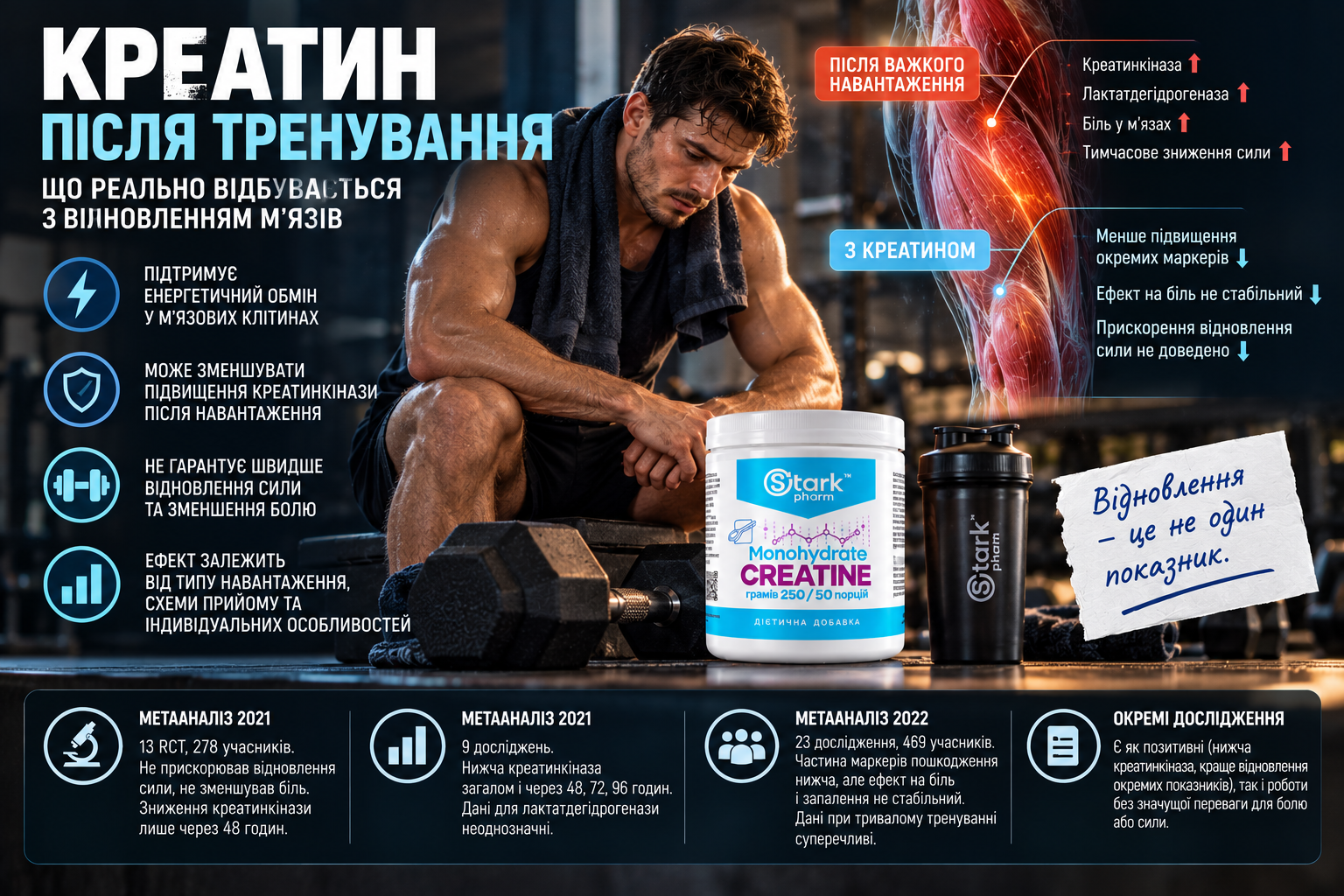 Креатин після тренування — вплив на крепатуру, креатинкіназу та відновлення м'язів