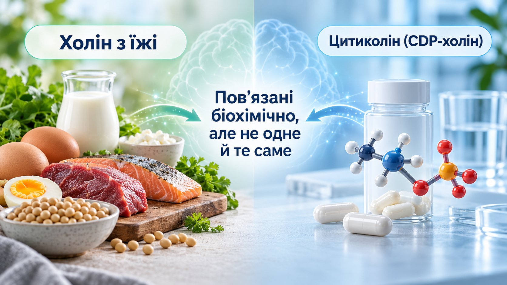 Citicoline or choline from food - differences between CDP-choline and food forms of choline