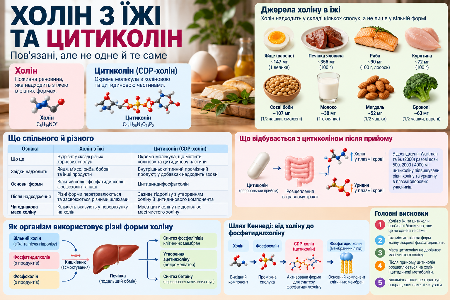 Dietary Choline vs. Citicoline CDP-Choline - Comparison of Sources, Forms, and Metabolism